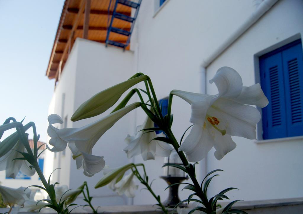 Appartamento Idroussa Mpatsi Esterno foto